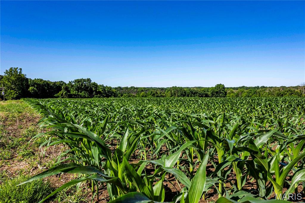 N/A - Farm
