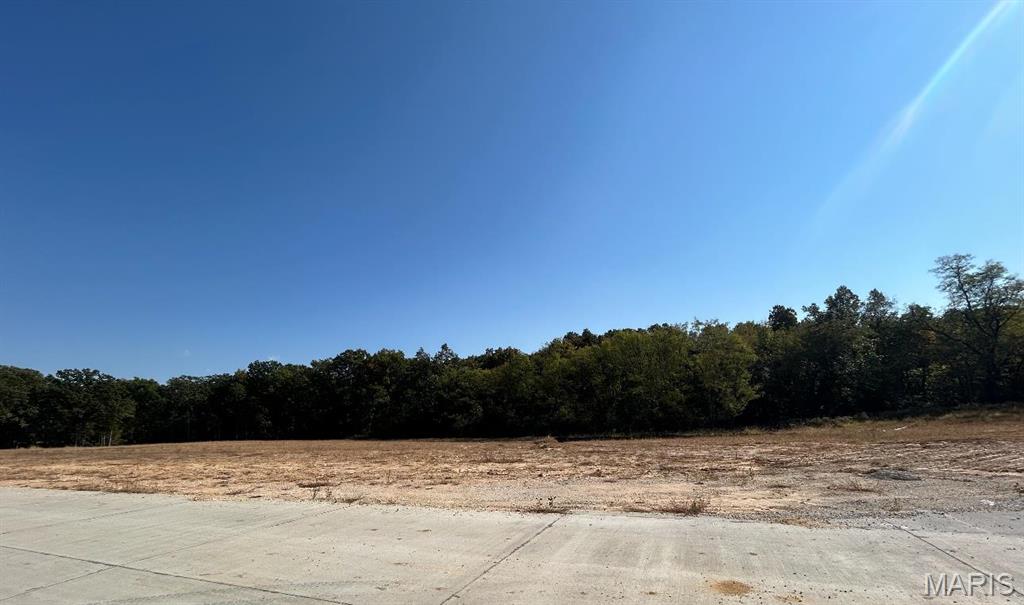 Gorgeous setting in The Estates at Schaper Farms! This 3.01-acre walk-out lot near the cul-de-sac offers the perfect balance of open space for your dream home, circle driveway, pool and outdoor entertainment in back. Lot is lined by trees and natural beauty for a peaceful retreat. Enjoy the charm of country living with the convenience of nearby dining, shopping, highways and city maintained streets. Bring your own floor plans, use one of our current floor plans, or work with our architect to design a custom home. This is a stunning lot ready for your vision! Additional Rooms: In Platted Subdv.