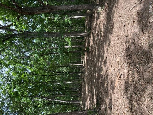 Fantastic residential 6.11 +/- lot in Lincoln County, MO.  Public Water available, Electric and fiber internet. Build your dream home or Shouse with room for an additional home if desired.  Road agreement in place.  Beautiful lot with lot with mature trees and lays well for a walkout, lots of privacy and is located just outside of Winfield.  Immediate access to Hwy 47 and just a few miles to Hwy 79 to makes for an easy commute.  Underbrush recently cleared for easy viewing. Seller at Seller's elect & expense may cause deed restrictions to not allow mobile home parks. Manufactured home may be allowed on foundation.
You don't want to miss this rare opportunity as they do not come available often.