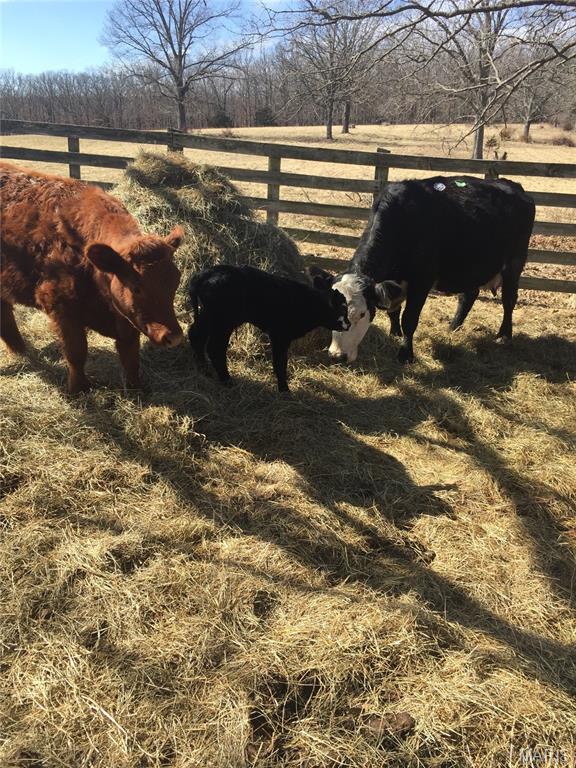 Unrestricted Rural Acreage - Farm