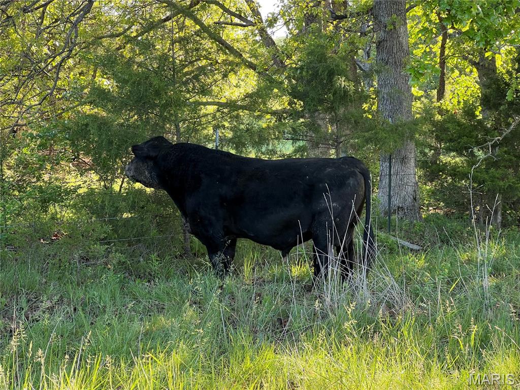 Unrestricted Rural Acreage - Farm