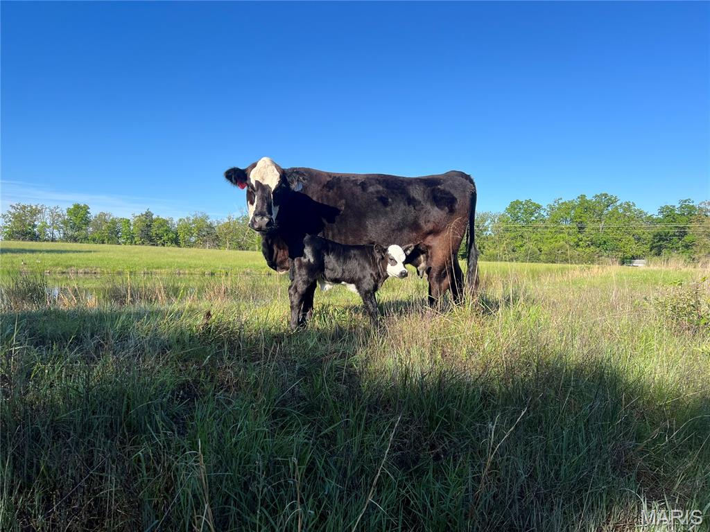 Unrestricted Rural Acreage - Farm