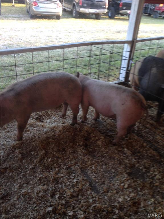 Unrestricted Rural Acreage - Farm