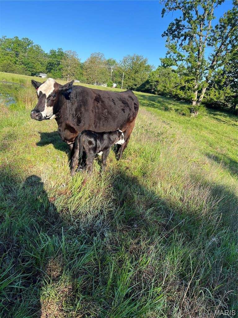 Unrestricted Rural Acreage - Farm