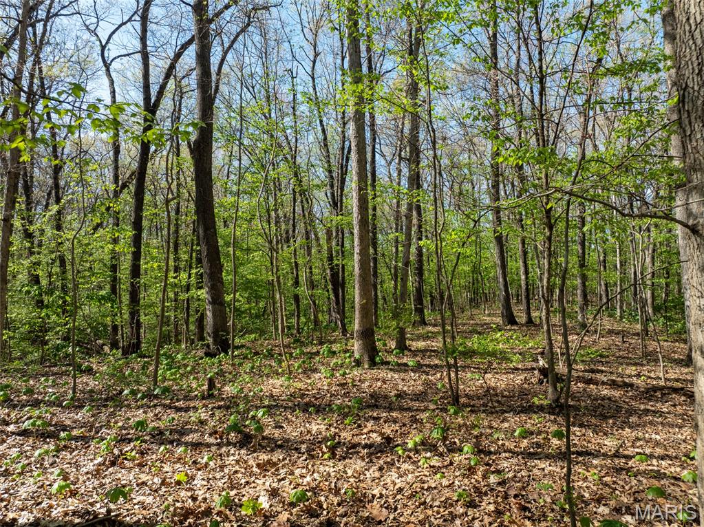 Not in a Subdivision - Land