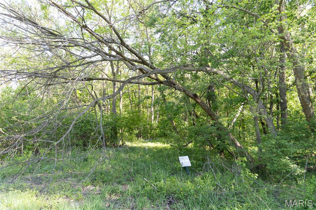 Not in a Subdivision - Land