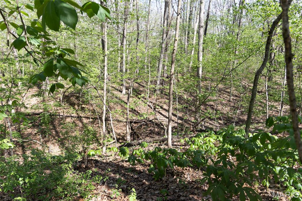 Not in a Subdivision - Land