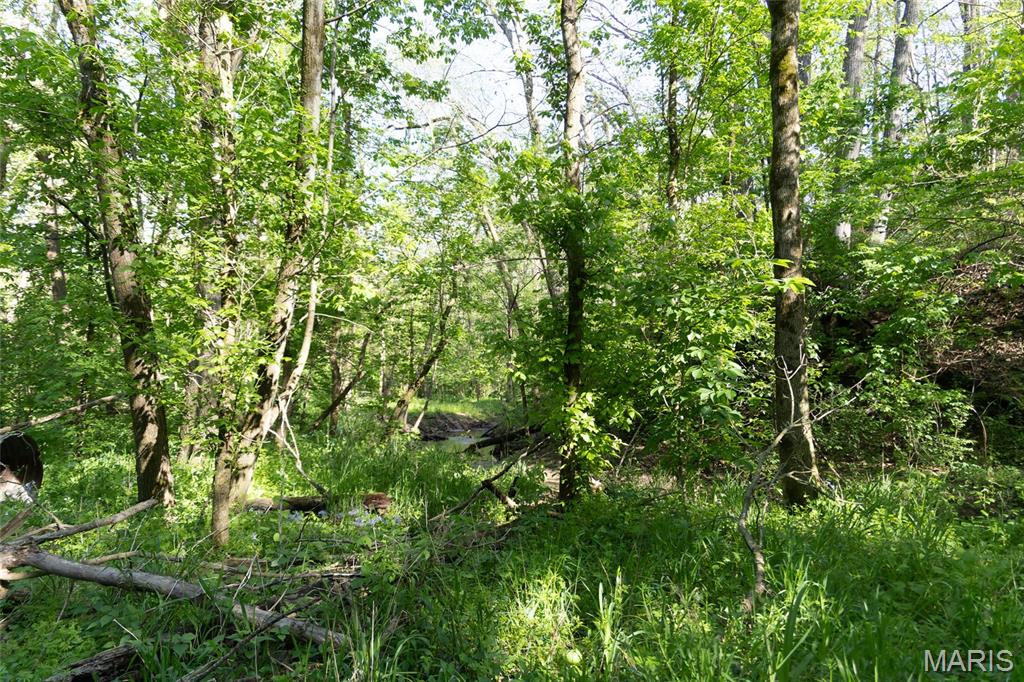 Not in a Subdivision - Land