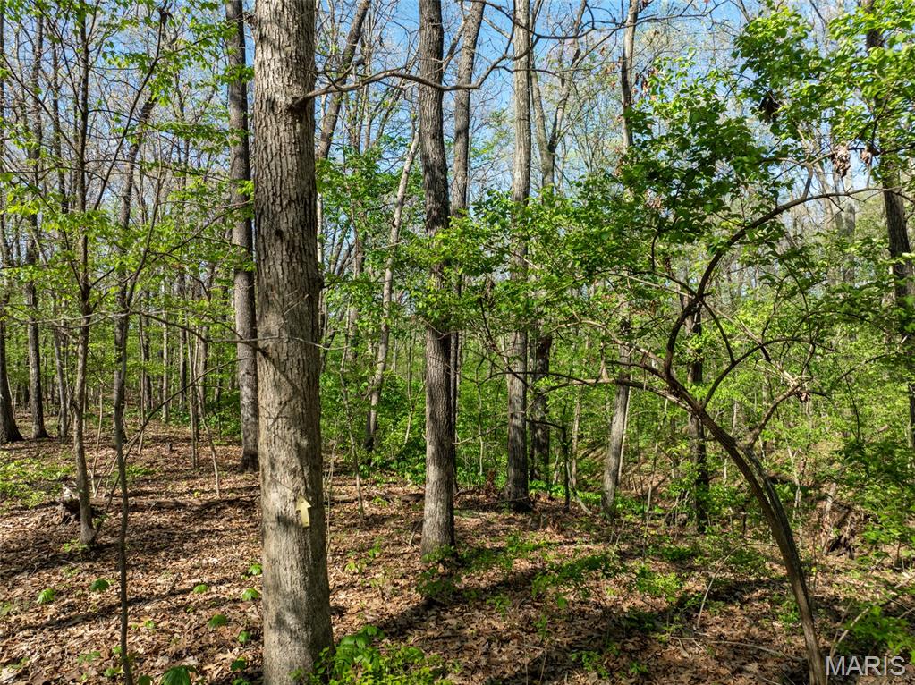 Not in a Subdivision - Land