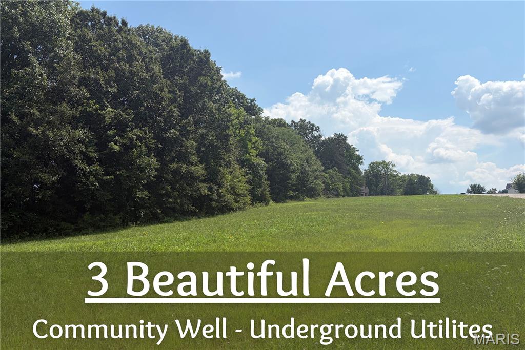 Welcome to Summers Crossing! Bring your building plans for this beautiful 3-acre lot! This secluded development offers open fields, great views on bluffs overlooking valleys! Excellent location just west of Troy with access from Hwy 47! Square footage minimum is 1800, deeded restrictions, community well, underground utilities, black top roads and Troy School District! This lot is perfect for a walkout and has mature trees! Don’t wait, get this fabulous lot now and start building your dream home!!