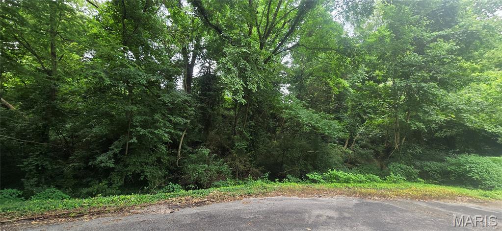1.08-acre residential lot tucked away on a private cul-de-sac in Stookey Township. This mostly wooded property offers privacy, mature trees, a creek, and endless possibilities. Utilities are available at the street, making it even more convenient. If you've been searching for a peaceful setting with plenty of space while remaining close to shopping, dining, schools, and everyday amenities, this is the opportunity you've been waiting for.