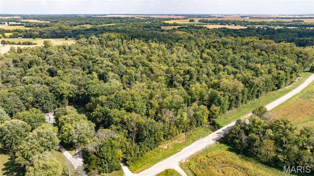 Great offering of recreational land near Saint Jacob! This 49 acre tract provides the opportunity to have your own piece of recreational ground great for hunting, riding, and exploring the outdoors in the Silver Creek bottoms. This property has a good trail system and several deer stands throughout the property. The property has abundant wildlife including trophy class whitetails and wild turkey. There are not a lot of opportunities to own a hunting farm in this area, make your appointment today.