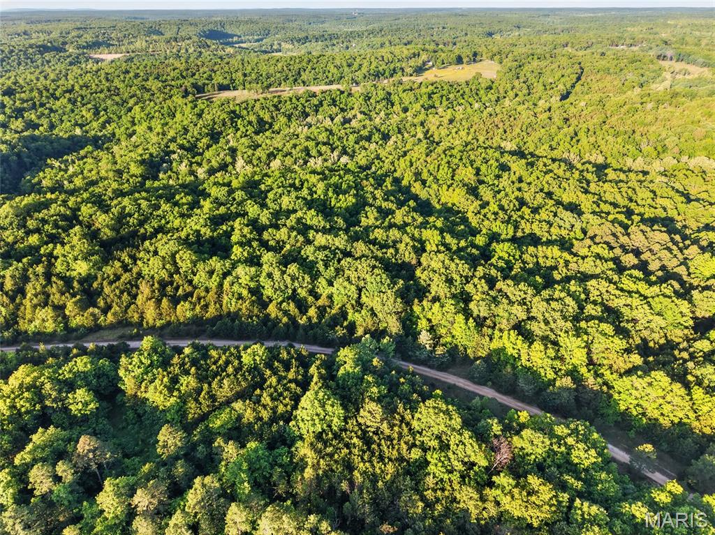 **The parent tax ID for this lot / parcel is: 111001200000000300000. This listing is for parcel 2 only (9.0 acres).

Private 9 +/- Acres Getaway in the Timber - Washington County, MO 

Step into tremendous possibilities on this 9.0 +/- acre tract (parcel #2) located off a quiet, private county road in Blackwell, MO. This Washington County gem has been recently surveyed, ensuring exact acreage, accuracy, and clearly marked property boundaries. If you are searching for an exceptional blend of recreational freedom and rural living, this property delivers. The land features a gently sloping landscape for your recreational getaway, dream home or a weekend hunting cabin. Blanketed in beautiful mixed timber, this tract provides natural privacy and quality cover for whitetail deer or wild turkey. A wet-weather creek winds along the back boundary, serving as a natural draw for local wildlife. The area is known for its Druse Quarts, Missouri Lace Agate and Barite (Tiff) formations for the crystal hunters & enthusiasts. 
This property has abundant wild game sign and is full of character and diversity. Whether you are looking to hunt, explore the outdoors, or homestead, this ground is a fantastic opportunity to call your own. Outdoor enthusiasts will love the proximity to regional recreation with St. Francois State Park, the Big River, and multiple surrounding lakes for fishing and outdoor recreation just minutes away. 
Additionally, the seller owns adjoining parcels that may be made available for purchase in the future.

Property Highlights
9.0 +/- surveyed acres in Blackwell, MO 
Recent survey completed for exact acreage verification and clear boundaries
Minutes from recreation at St. Francois State Park, the Big River, and multiple local lakes
Secluded and Tucked away quietly off a private county road
Established mixed timber stands 
Quality bedding and cover for wildlife
Several natural and man-made watering holes for wild game
Gently sloping terrain offering build site or cabin location
Wet-weather creek wandering along the back of the property
Highly capable hunting ground with abundant wildlife
Druse Quartz, Missouri Lace Agate, and Barite (Tiff) abound in the area
Scenic Washington & St. Francois counties surrounding
1 hour 10 mins to St. Louis

This listing represents one individual parcel. Seller owns adjacent parcels currently listed (MLS#26030412; MLS#26030409 ), as additional neighboring tracts that may be made available for purchase in the future. Contact listing agent for details / future availability.