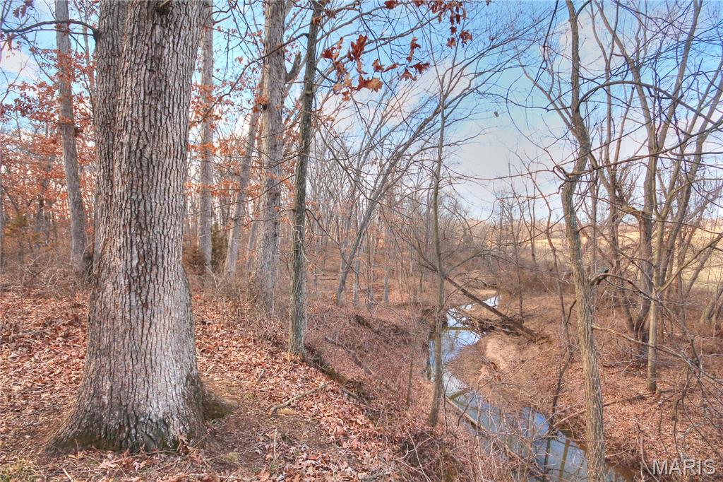 28.1 surveyed acres in Pike County MO and a hunter or homesteader's haven! The property is a combination of both open fields and thick woods with frontage along Indian Creek! You are within 35 miles to 3 Mark Twain Lake boat ramps, on the edge of the local Amish community, and a short drive to Bowling Green! Property includes county road frontage, electric and public water along the road. What else could you ask for?