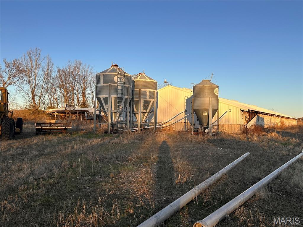 None - Farm