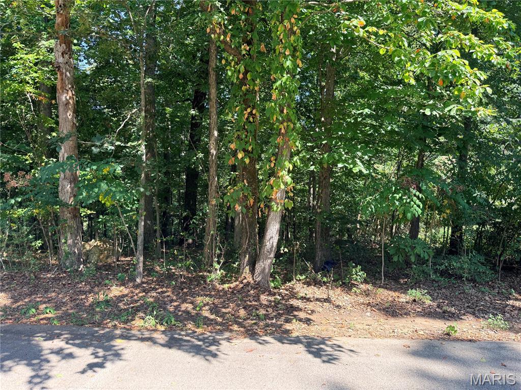 Discover the perfect opportunity to build your dream home on this 0.44-acre residential lot in Lock Loma Subdivision, conveniently located just north of Poplar Bluff. Situated on a quiet dead-end street, this property offers a peaceful setting with mature woods that provide natural privacy and a beautiful backdrop for your future home.
Whether you’re looking to build a permanent residence, weekend retreat, or private getaway, this wooded lot offers plenty of potential. Enjoy the tranquility of the natural surroundings while also taking advantage of the subdivision’s private lake, ideal for fishing, boating, and relaxing by the water.