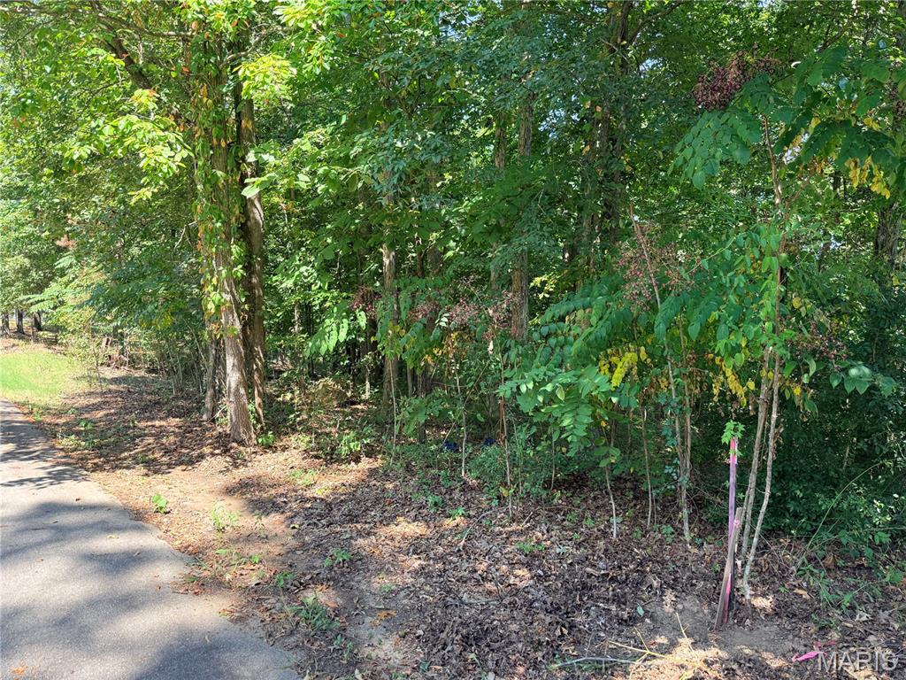Loch Loma Subdivision - Land