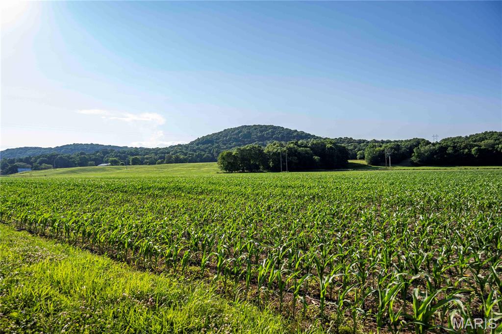 N/A - Farm