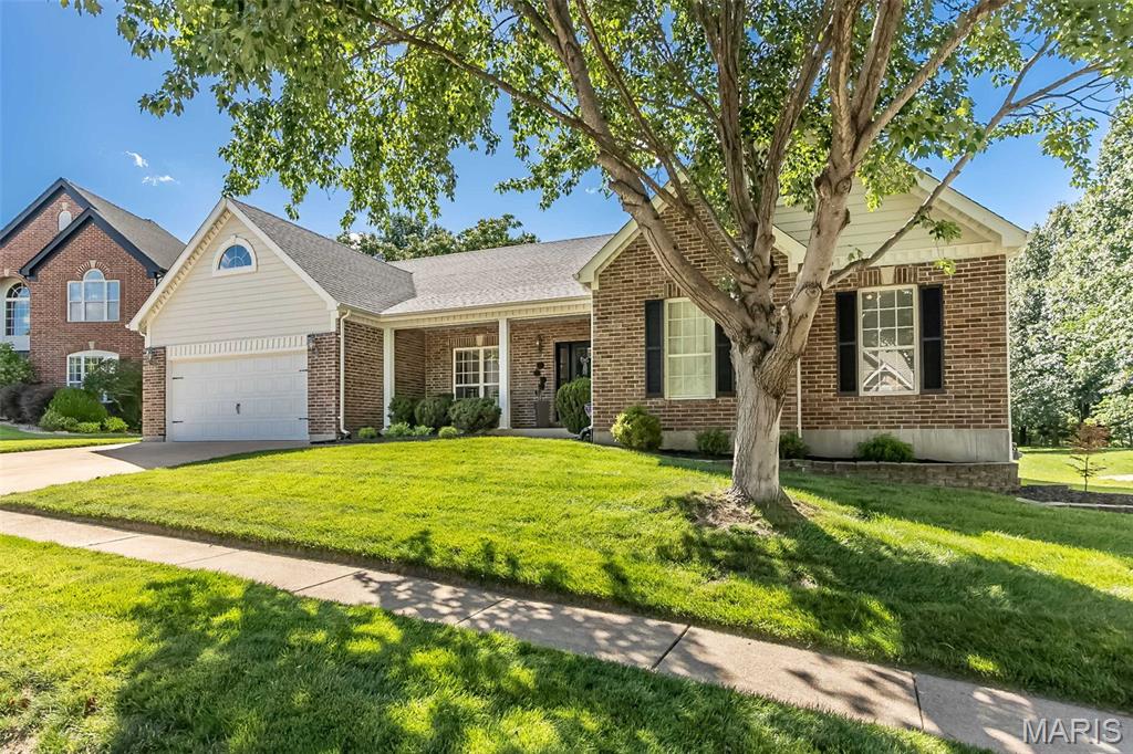 Castle Pines Twelve - Residential