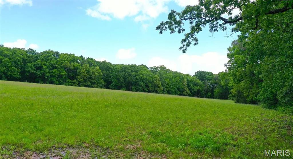 The Sanctuary - Land