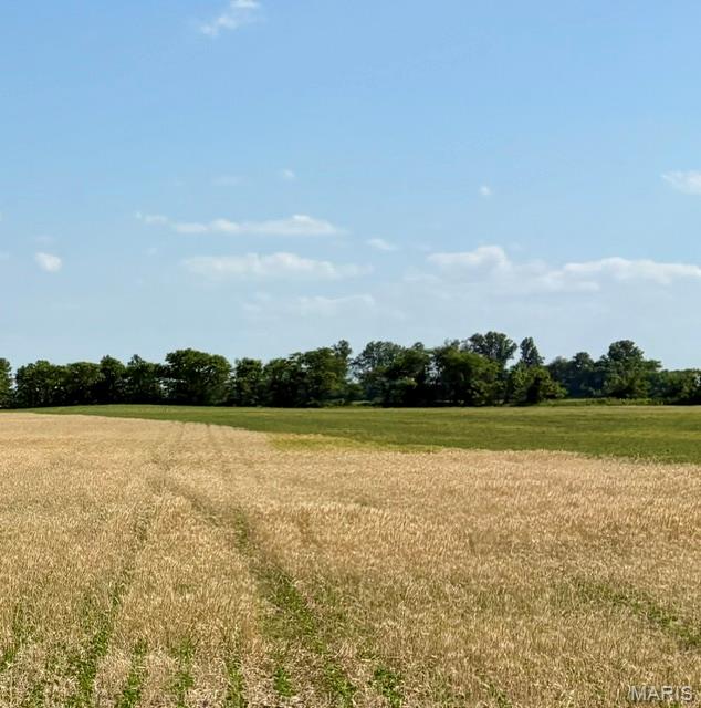 New to the market!   +/- 101.94 acres of Farmland for Sale – Prime Agricultural Investment Opportunity

Discover this exceptional tract of productive farmland spanning Mississippi and New Madrid Counties, offering a strong combination of irrigated and non-irrigated acreage, ideal for row crop production, expanding your current farming operation, or an investment opportunity.  

+/-61.94 acres has center pivot irrigation access (shared ownership with neighboring land owner -  opportunity to purchase half ownership in the irrigation center pivot system) 

+/- 35 acres non-irrigated, well-suited for dry-land farming or alternative agricultural use

+/-5 acres uncleared wooded acreage, offering potential for clearing, hunting, or other use

This versatile property provides an excellent balance of irrigated production capability and expansion potential. 

Whether you're an established producer, investor, or looking to diversify your agricultural portfolio, this tract offers valuable flexibility and long-term opportunity.

Call today for additional details and to schedule a showing.  Being sold undivided.
