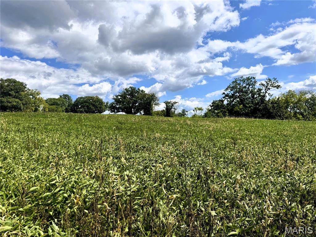 n/a - Farm