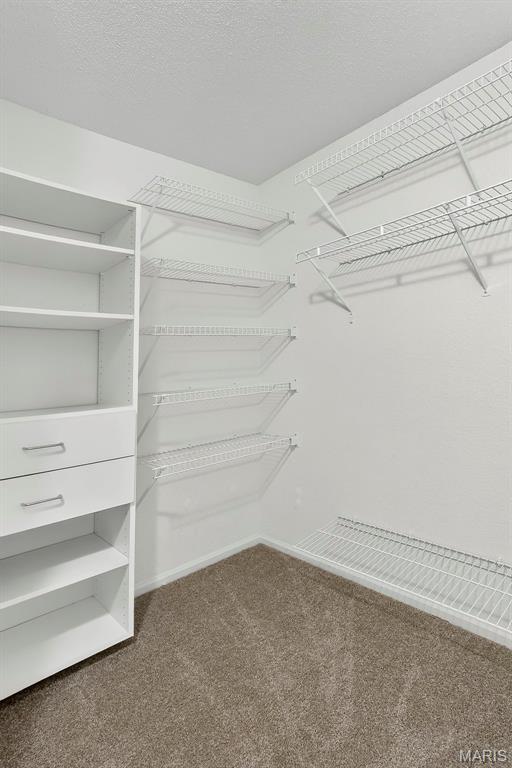 Lienmann Forest - Residential