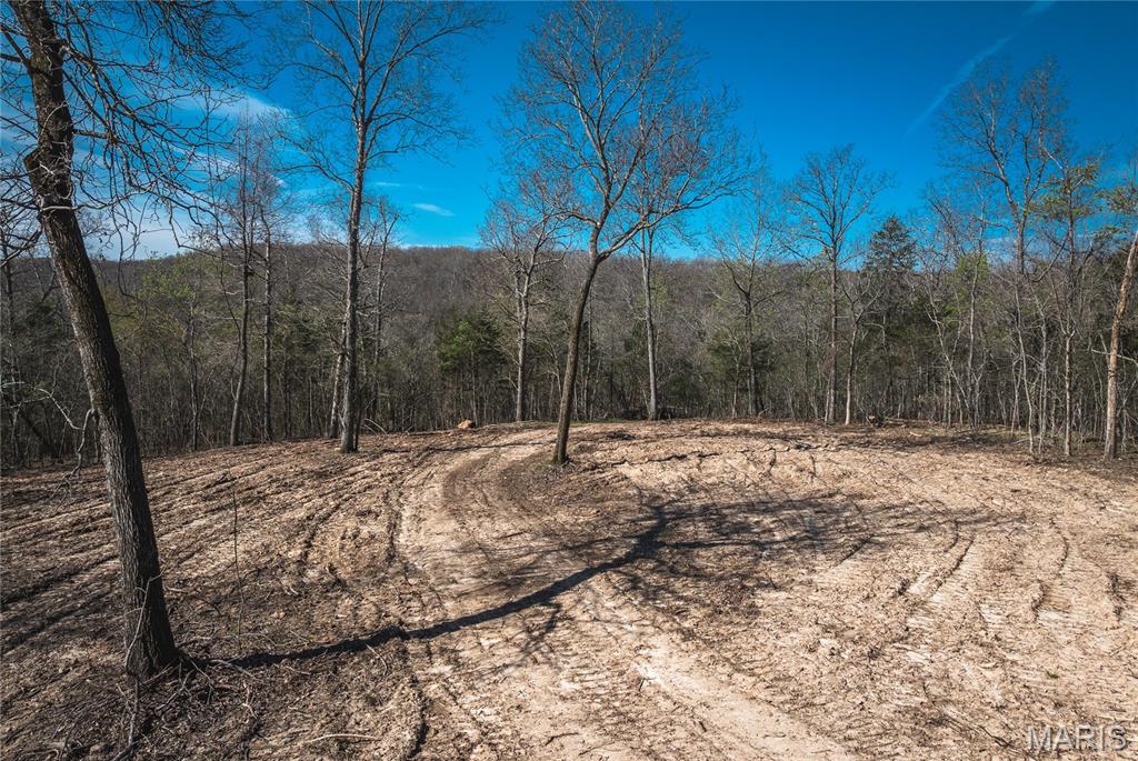 Spring Bluff Farms - Land
