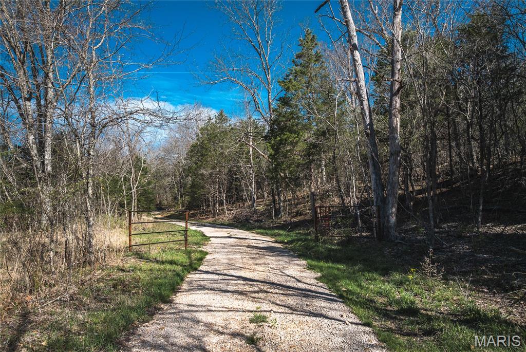 Spring Bluff Farms - Land