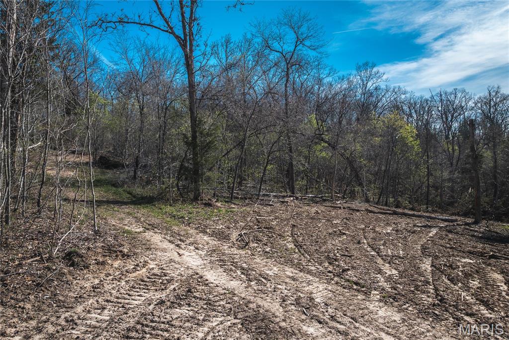 Spring Bluff Farms - Land