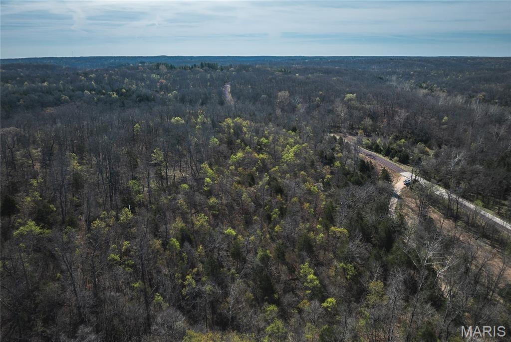 Spring Bluff Farms - Land