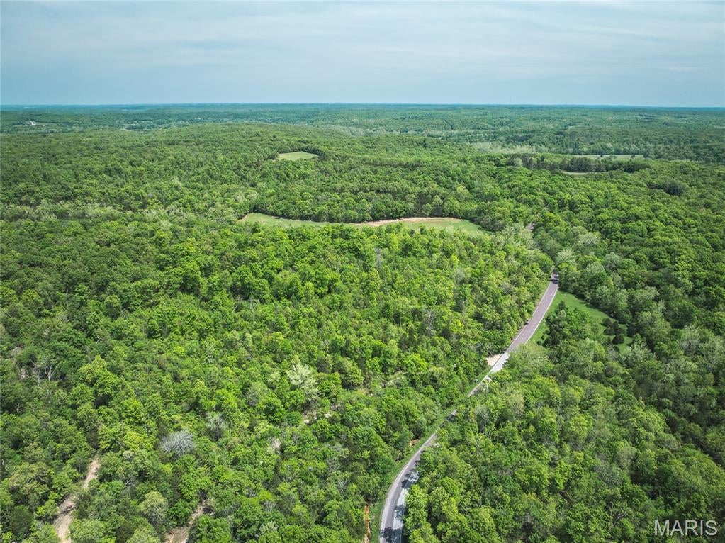 Spring Bluff Farms - Land