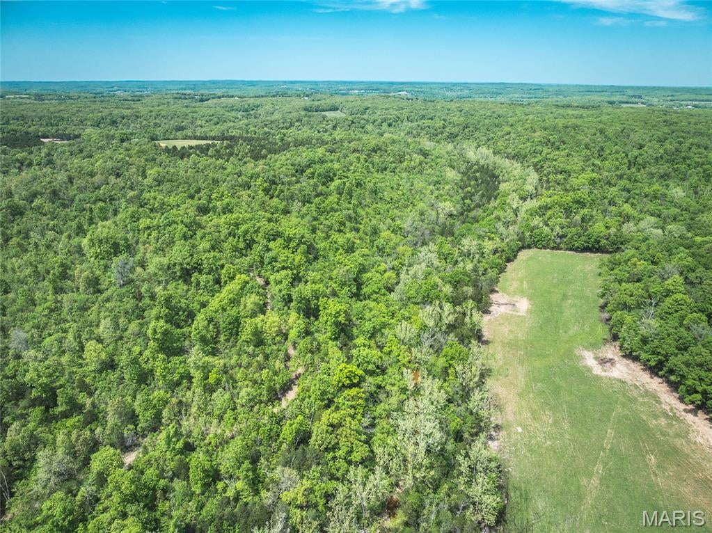 Spring Bluff Farms - Land