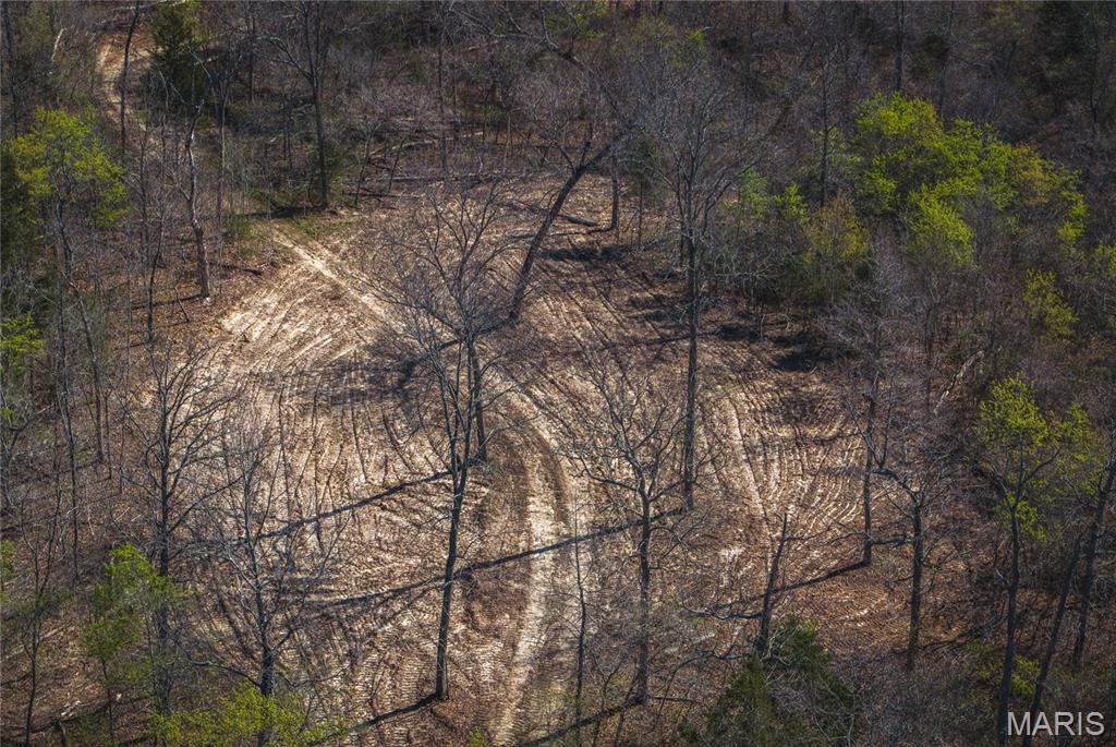 Spring Bluff Farms - Land