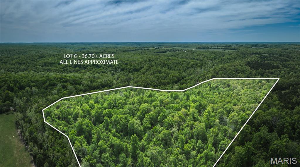 Lot G of Spring Bluff Farms is situated on 36.7 acres. It is accessible off of the newly established Armadillo Lane which is located off of Spring Creek Road. Enough acreage for recreational use, deer and turkey hunting, or building your new home. Located in a quiet and peaceful setting in the well sought after Spring Bluff School District. Bring your building plans and the builder of your choice and get started on your dream home!
