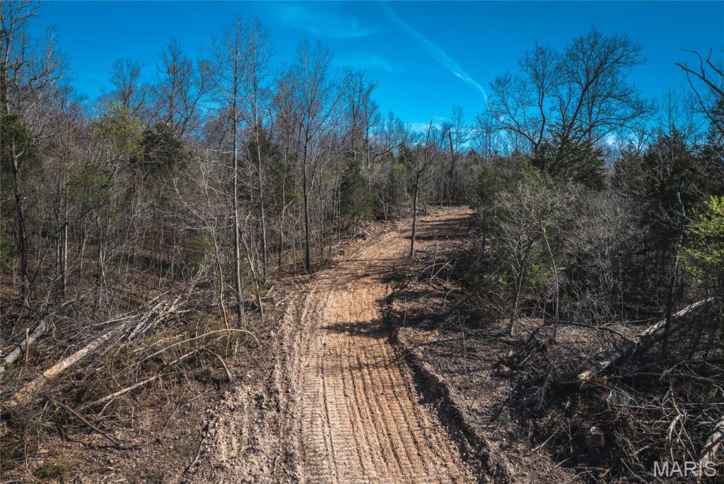 Spring Bluff Farms - Land