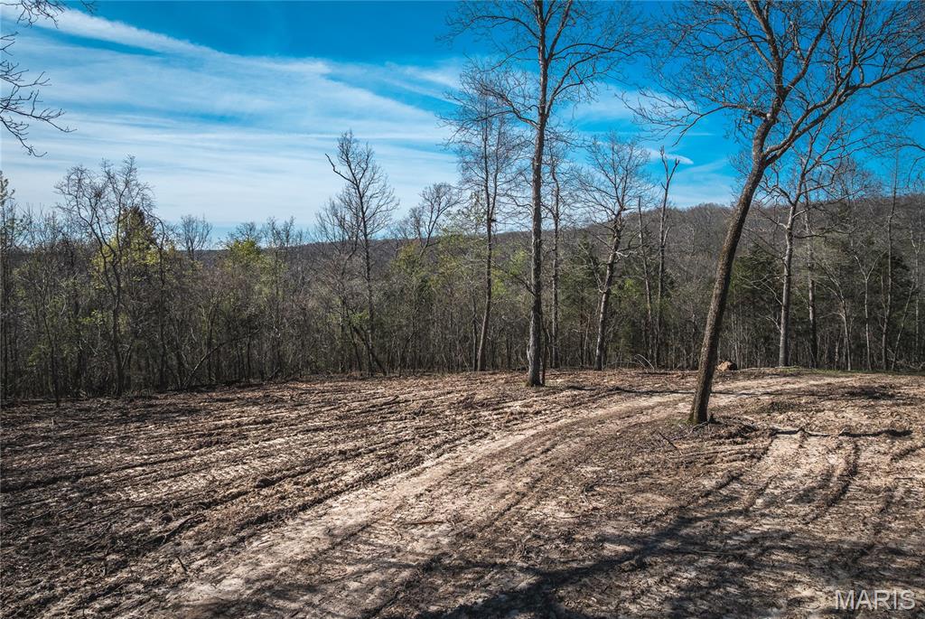 Spring Bluff Farms - Land