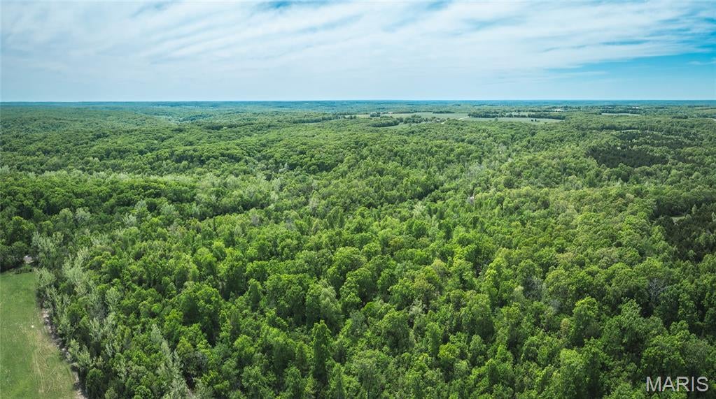 Spring Bluff Farms - Land