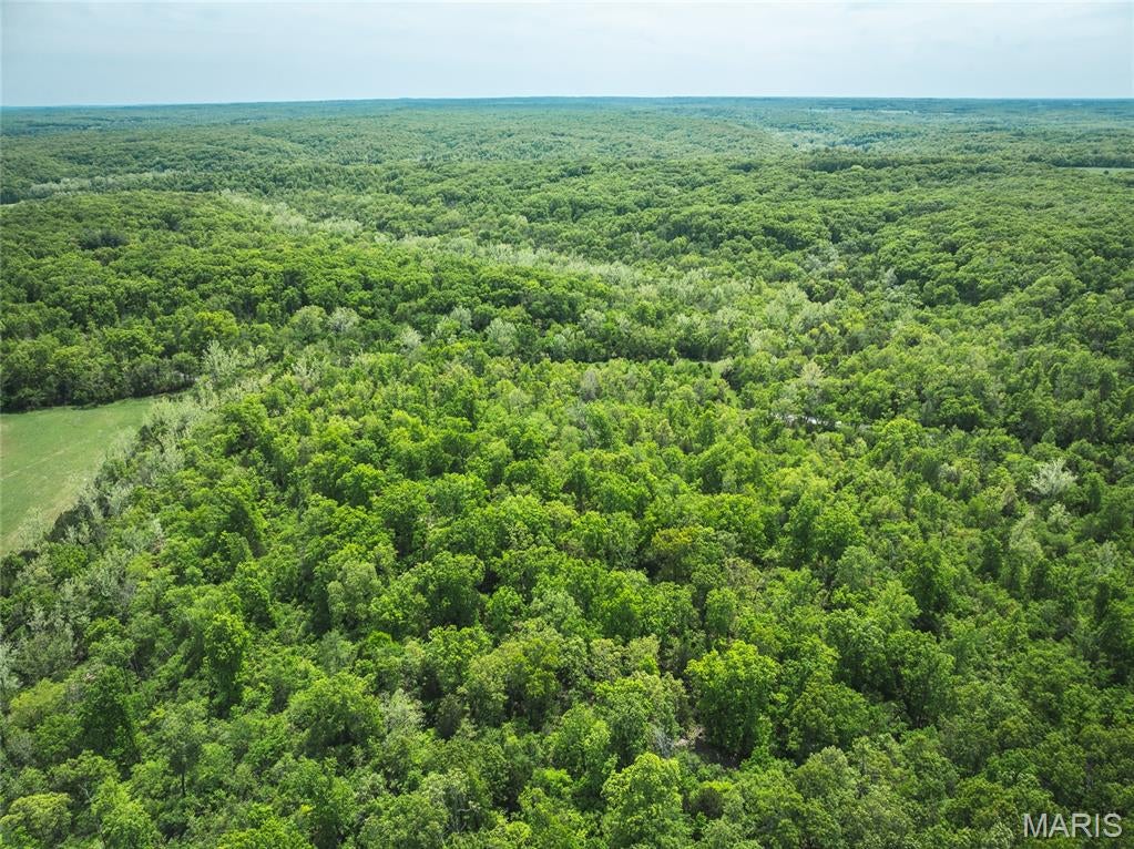 Spring Bluff Farms - Land