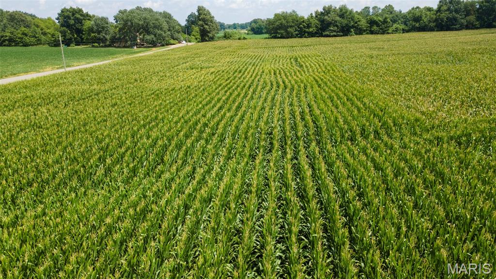 N/A - Farm