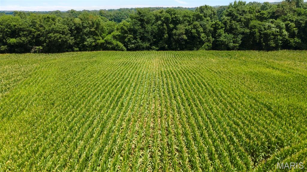 N/A - Farm