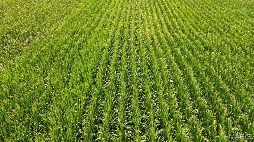 N/A - Farm