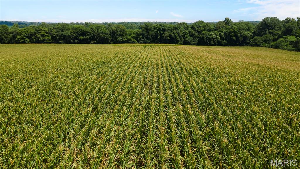 N/A - Farm