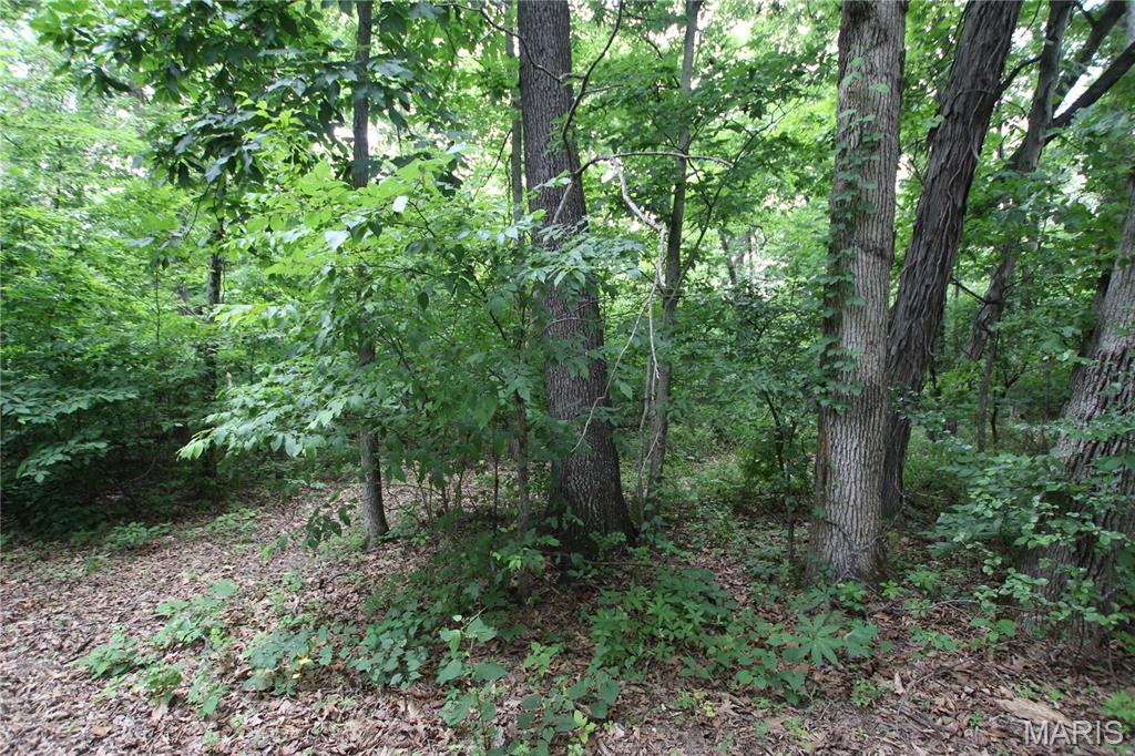 Ballyglen Estates - Land