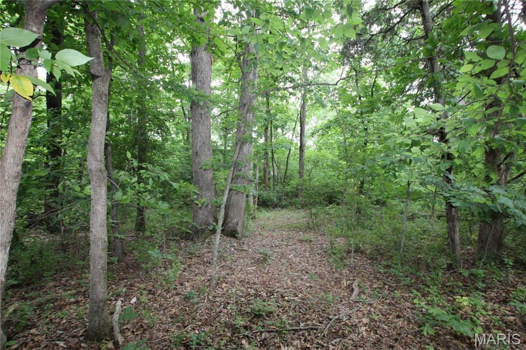 Ballyglen Estates - Land