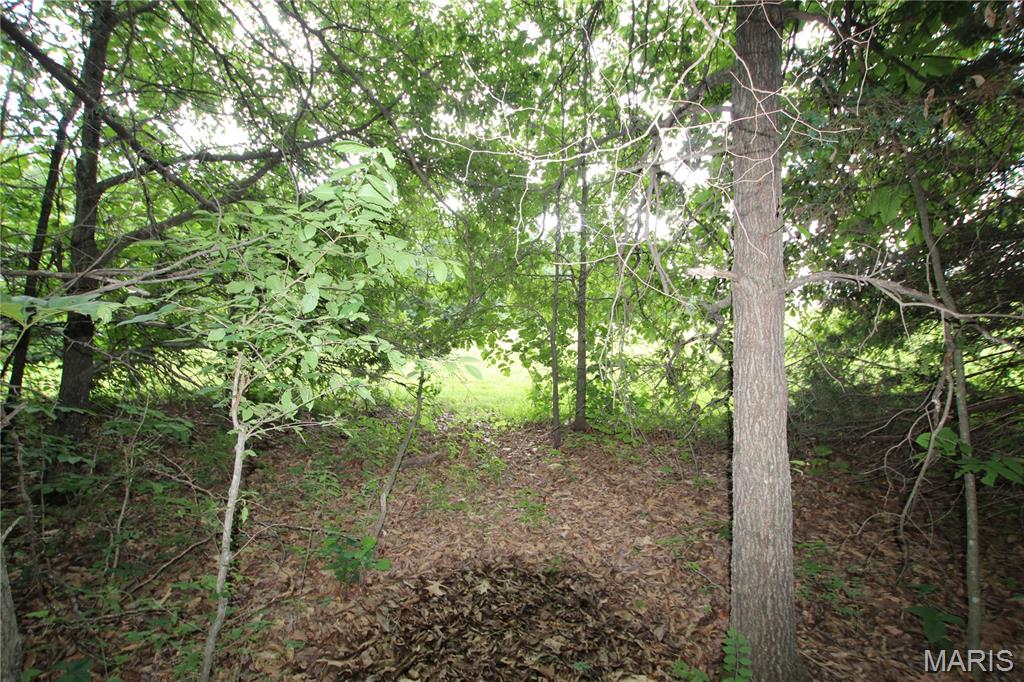 Ballyglen Estates - Land