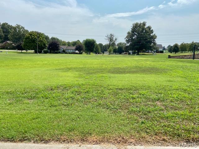 Looking to build in perfect location ? Timber Creek Subdivision has 9  lots  available to choose from. As you enter the Bricked entrance , you will notice how well this subdivision  is  maintained. It's quiet and close to Dexter schools ! City water and sewer, with Ameren electric lines underground and natural gas.  Plat map available. Additional Rooms: In Platted Subdv.