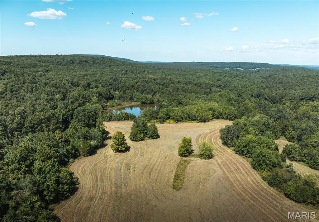 Escape to your own private retreat with this exceptional 105 +/- acre property located just minutes from Farmington, Missouri, and approximately one hour from St. Louis. Offering a rare combination of rolling timber, open pasture, and a scenic pond, this versatile tract is well-suited for recreation, hunting, livestock, a future homesite, cabin getaway, or weekend escape. The property features a beautiful mix of wooded acreage and usable pasture ground, providing excellent opportunities for grazing, hobby farming, horseback riding, or simply enjoying the open countryside. A picturesque pond adds both beauty and functionality, serving as a water source for wildlife and livestock while creating a peaceful setting for relaxing and enjoying nature. Surrounded by the natural beauty of Southeast Missouri, this property is conveniently located near numerous state parks, national forest lands, rivers, lakes, hiking trails, and outdoor recreation destinations. Outdoor enthusiasts will appreciate the outstanding hunting opportunities for whitetail deer, turkey, small game, and predators. The diverse habitat, abundant wildlife, and varied terrain make this an ideal property for hunters and nature lovers alike. Enjoy the privacy and tranquility of country living while remaining close to the conveniences of Farmington, including shopping, dining, schools, and medical facilities. With ample room to explore, ride ATVs, hike, fish, camp, run livestock, or simply unwind in a peaceful setting, this property offers endless possibilities. Whether you're searching for a hunting retreat, recreational playground, future dream home site, working farm, investment property, or a place to create lasting family memories, Buck Mountain provides the perfect blend of seclusion, accessibility, and outdoor enjoyment. Opportunities to own a property of this size and diversity in one of Southeast Missouri's most desirable recreational areas are becoming increasingly difficult to find. Come experience the beauty, privacy, and potential that Buck Mountain has to offer.
