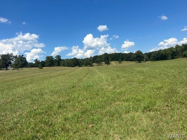 This Butler County property offers 40 beautiful acres with the option of purchasing 100 more.  This acreage overlooks sloping hills and pasture.  With easy access off Hwy 67 north and being just 10 minutes from the shopping, services, eateries and health care facilities in Poplar Bluff, MO.  With approximately 30 acres in pasture and 10 wooded, this land offers several beautiful building sites.  It also borders over 4000 acres of the Mark Twain National Forest with endless opportunities for hiking, hunting & horseback riding.  This property is one mile from Black River access.  There will be an easement granted on a paved road to access this acreage.  Schedule your appointment today for a private viewing because "special" properties like this don't stay on the market long.