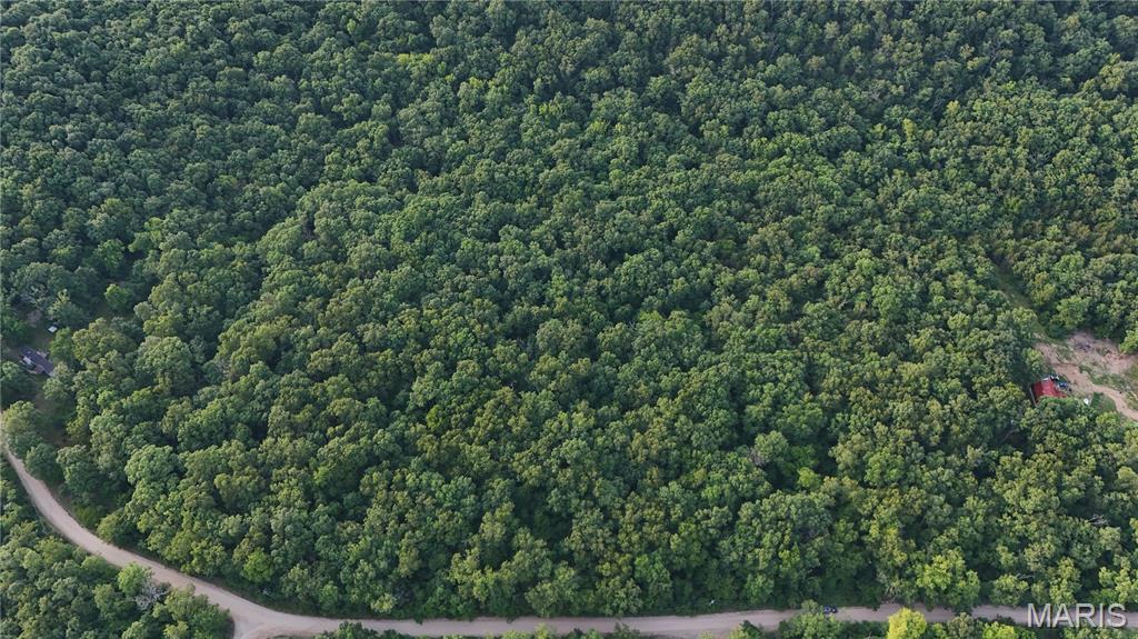 Big Woods - Land
